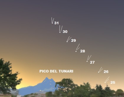 REPORTE #174